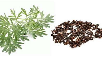 Cloves and worms to eliminate parasites from the body