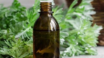 Using wormwood to remove parasites from the body
